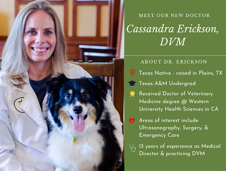 Welcome Dr. Cassandra Erickson